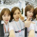 위러브펫