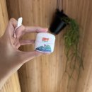 화해농장 | CJ온스타일 최화정쇼 아이크림 추천- 마티나겝하르트 아보카도 아이크림 솔직 후기