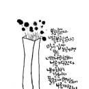 캘리그라피 입문과정 이미지