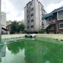 이층메디칼약국 이미지