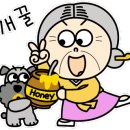 나나연구소