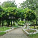 매산시장(03164) 이미지