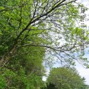 경안천누리길 이미지