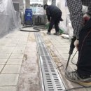 안암초등학교 이미지