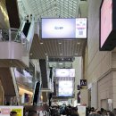 관전도서관 | [서울] 2025 서울국제도서전 3일차 찍먹후기_부스별 관전포인트