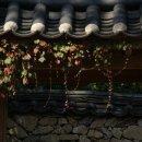 선암사 - 1428 | 선암사