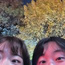 조에클레어
