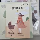 철원군보건소 | 일일이 하나씩 검색하기 귀찮은 초기 임산부를 위한 &lt;임신 초기 요약본&gt;