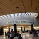 까치정 | 서울 아이랑 무료전시 리움미술관 까치호랑이 케데헌 호작도 굿즈 파는곳