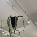 루트커피 네이버블로그