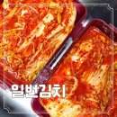 일번 | 업소용 중국산 배추 포기 김치 10kg 주왕산 일번 김치 후기