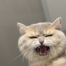 영규니💙 이미지