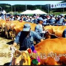 보국글로벌