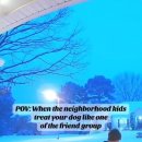 꼬마강아지 이미지