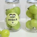 앤리이니