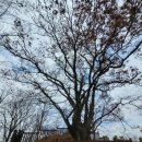 군자성황사지 이미지