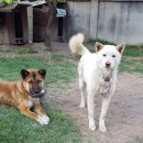 검산농장 이미지