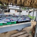 안동중학교와룡분교장 이미지