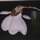 아로마체험실 이미지