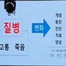 더샤인글로벌 이미지