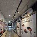 한국체대MTA태권도장 이미지