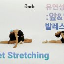 유연성UP발레 스트레칭 이미지