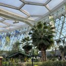 강서청소년쉼터 | 도심 속 초록 쉼터, 마곡 서울식물원 방문 후기