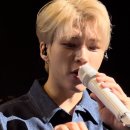 호텔나무 이미지