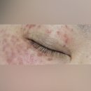 힐비뇨기과의원