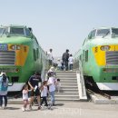 무료영화상영(센과 치히로의 행방불명) 이미지