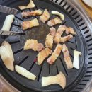 보배식육식당 이미지