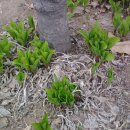 하남면사무소 이미지