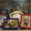 (주)펫바라기 이미지