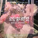 꽃;로랑 | 로랑 홍대본점 합정역꽃집 ㅣ 생화 화병선물세트 꽃선물 후기