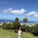 섬섬여수 힐링쉼터 더섬-1 | 하와이 오아후 당일치기 프라이빗 섬투어 추천 코스 가격 예약방법 스냅사진