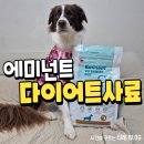 (주)에미넌트 | 에미넌트 다이어트 강아지처방사료 급여 후기