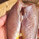 목포해오름 이미지