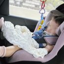 둥둥이김밥 이미지