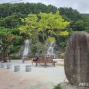 대청조명 - 중구 창경궁로 67-6 | 대청조명