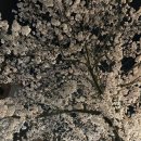 건강하고 긴 삶 이미지