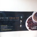 빅핸즈카페 Daum카페