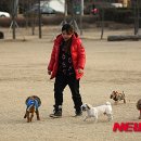 의암공원 이미지