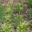 하얀정원 이미지