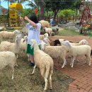 시내목장 이미지