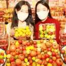 스위텔 이미지