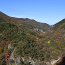 강천산군립공원 이미지