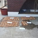 동해-단속-15 이미지