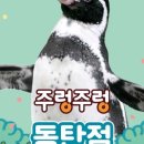 와이에스제이