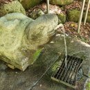 냉천골약수터 이미지