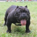 프불리하우스 이미지